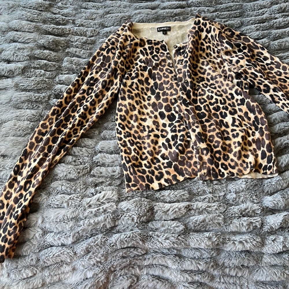 Vintage express chettah